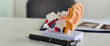 Ear Model2